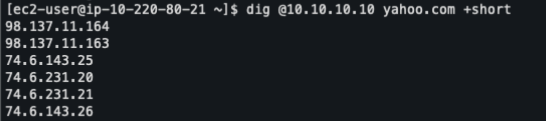 Figure 18. EC2 in PROD (Paris)—dig output resolving via Anycast IP