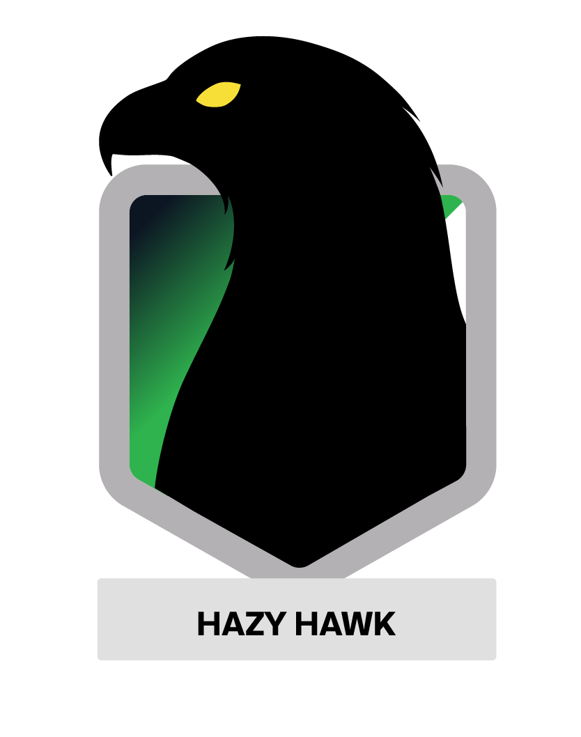 Hazy Hawk