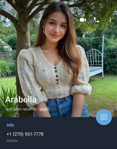 Figure 1. Arabella’s Telegram profile