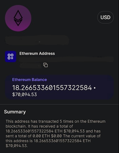 Figure 11. Screenshot of the wallet’s balance