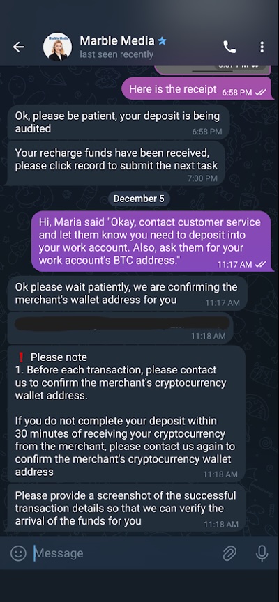Figure 14. Customer Support Agent sending me a new wallet address