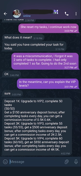 Figure 23. Maria explaining the VIP tiers