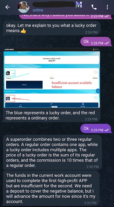 Figure 8. Maria’s explanation of “lucky orders”