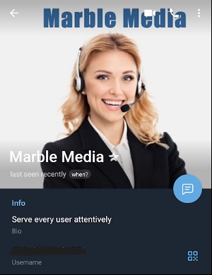 Figure 9. Customer Support Agent’s Telegram profile