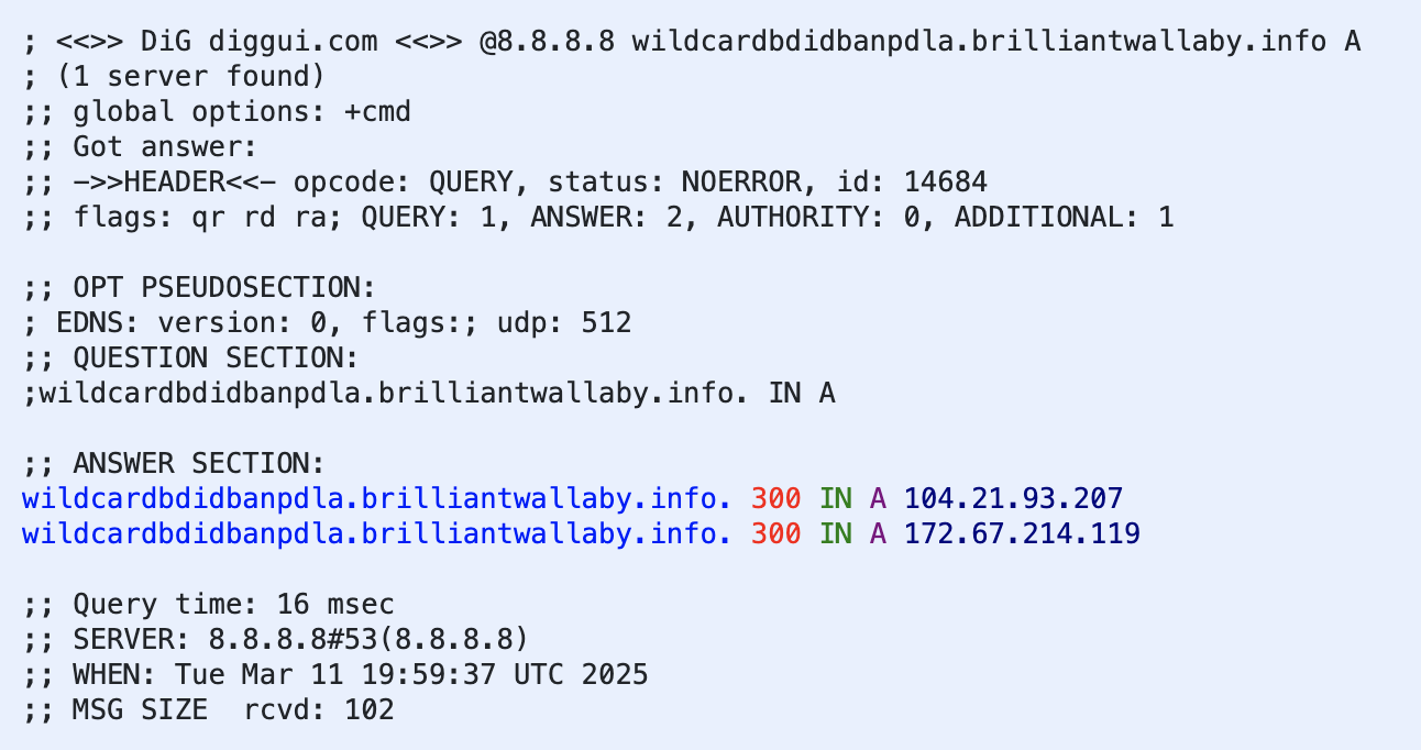 Figure 10. Wildcard response behavior to a random subdomain of an existent Reckless Rabbit domain