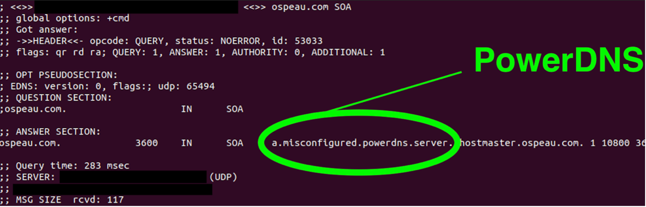 Figure 15. PowerDNS indicator in a DNS SOA response from VexTrio TDS
